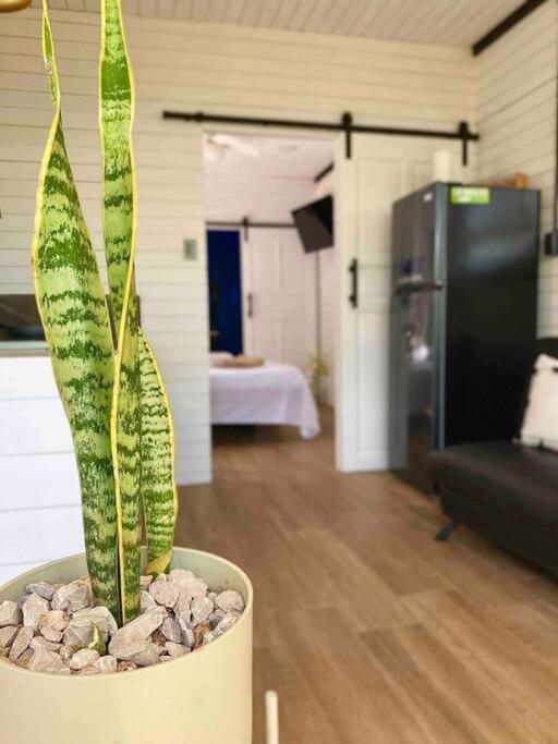 Hoja Azul Loft Guanacaste Apartment Hojancha Bagian luar foto